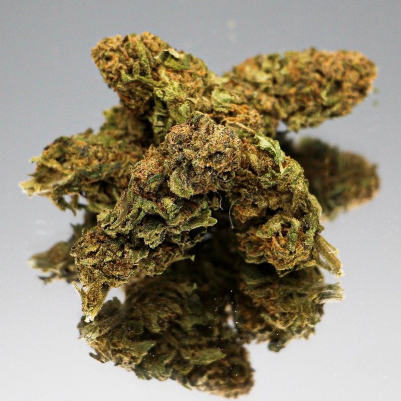 Fleur CBD Cannatonic bio aux nuances ambrées. Bourgeon de chanvre naturel pour un moment de détente