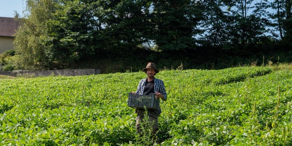 Trikome, Le CBD Bio Cultivé en Savoie